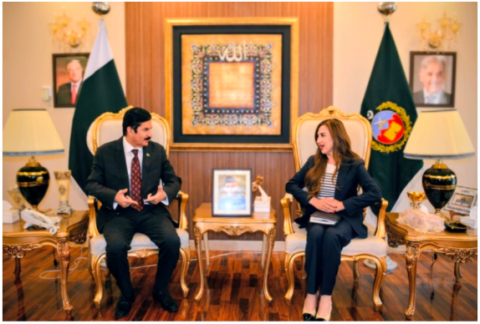 Faisal Karim Kundi on Monday invited American investors to explore investment opportunities in the province’s
